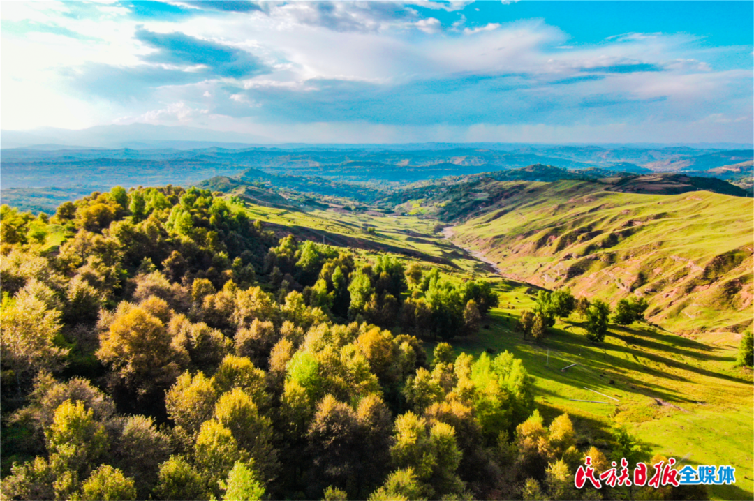 1656896757640274.png 1656896757640274.png