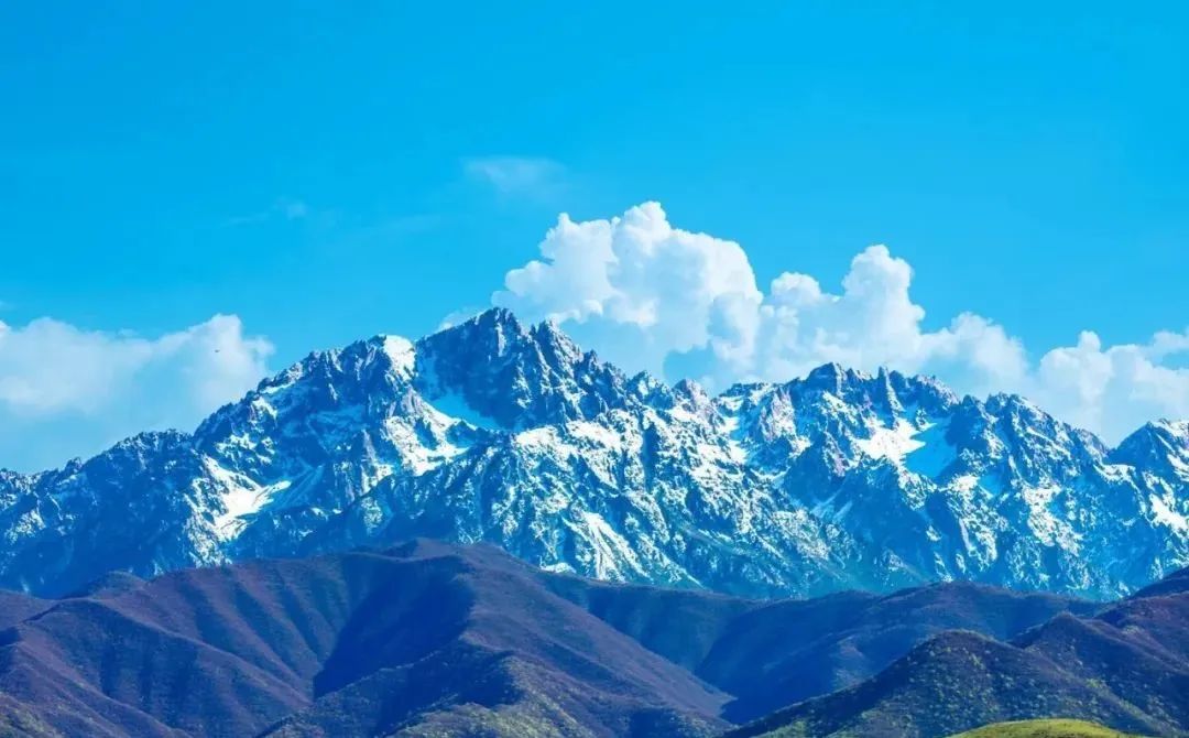 1656897296303471.jpg 1656897296303471.jpg