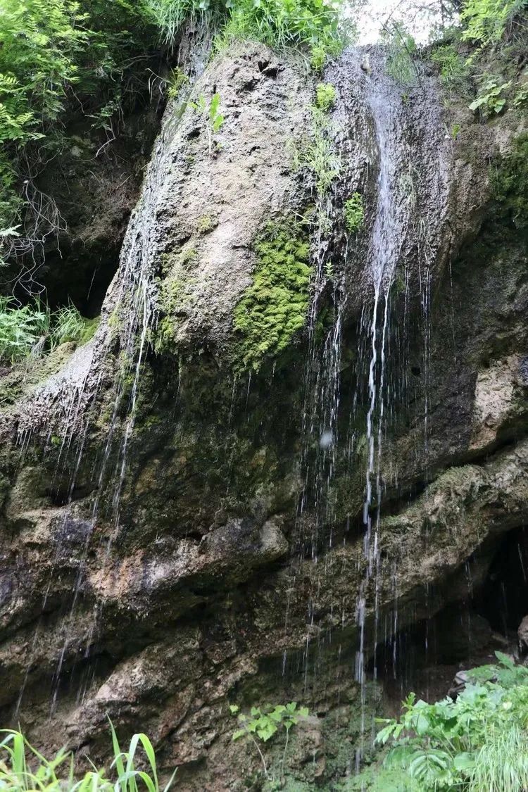 1656897401220430.jpg 640 (7).jpg