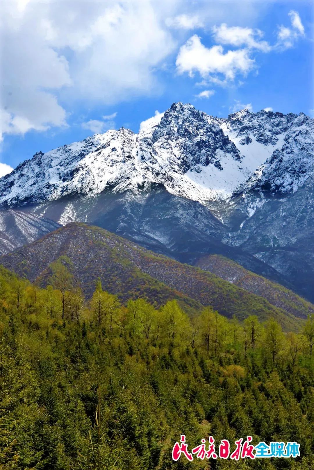 1656898232189821.jpg 1656898232189821.jpg