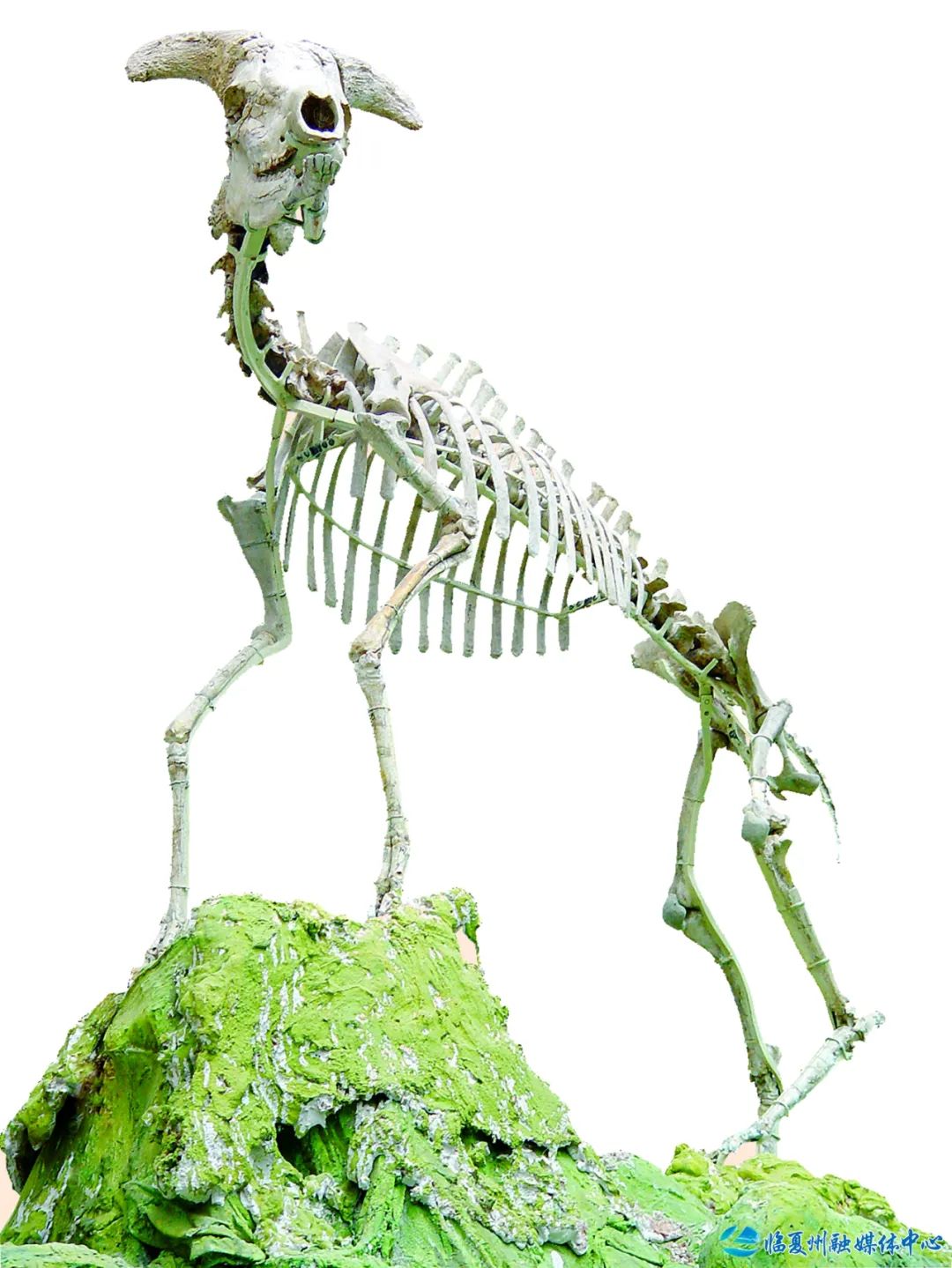 1674976067402675.jpg 1674976067402675.jpg