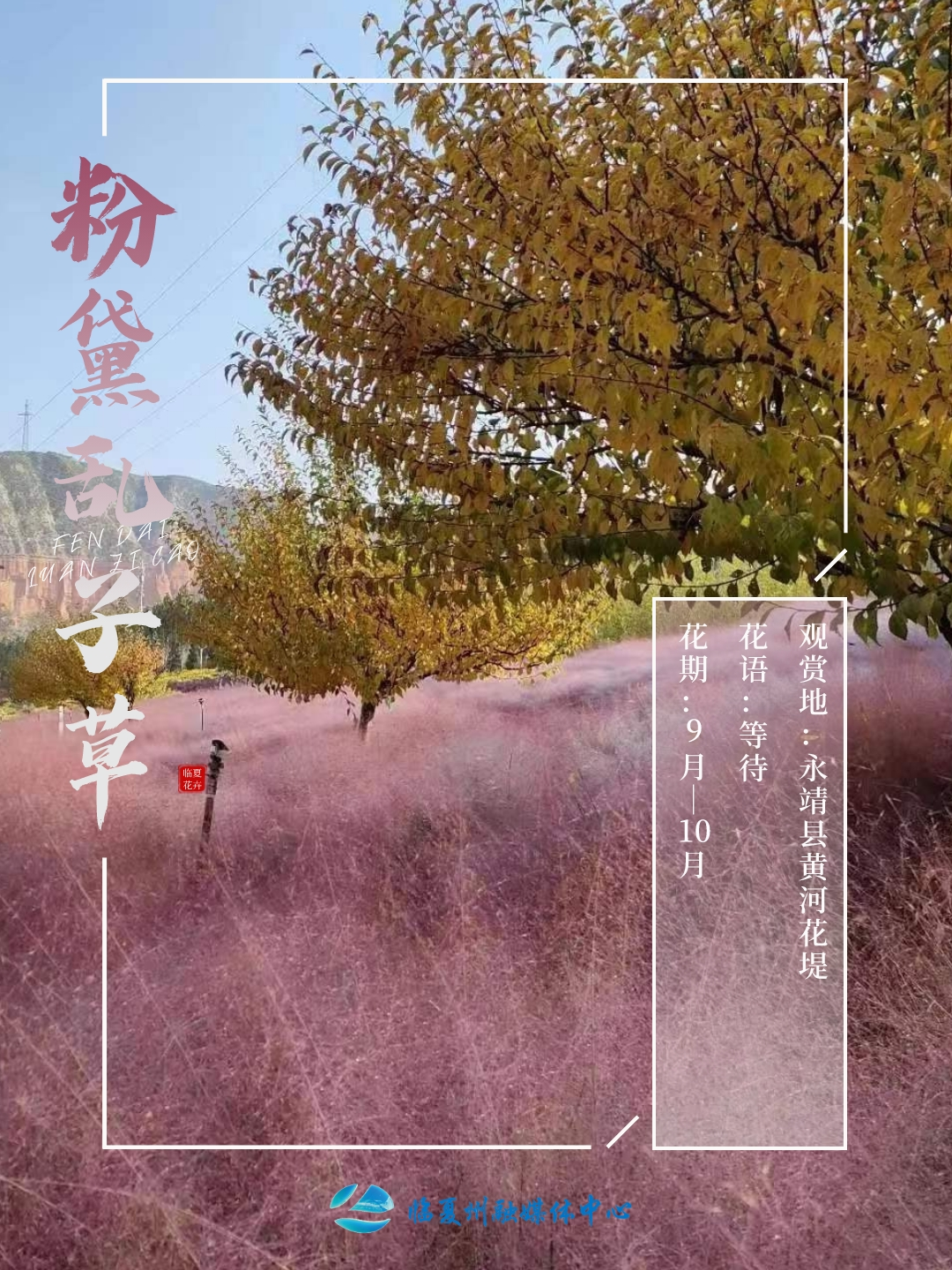 1682646707414374.png