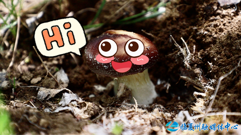 1688364472868258.png 640.png