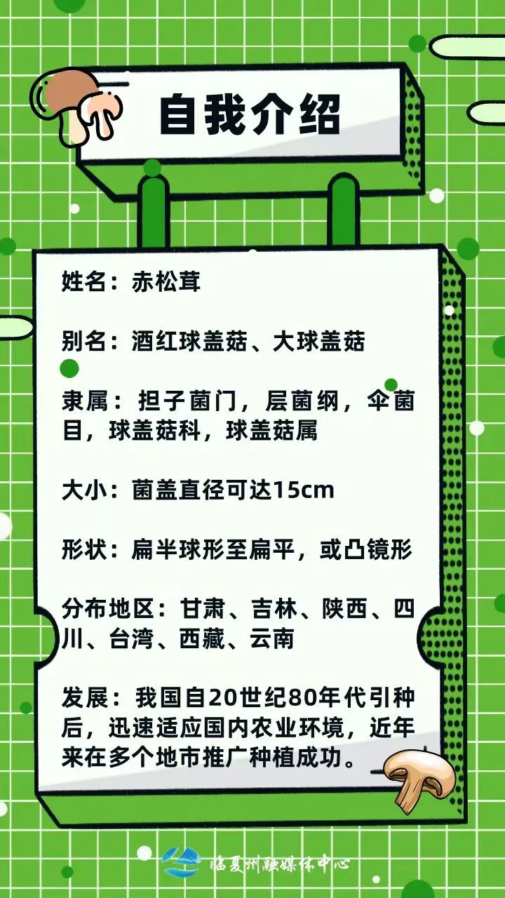 1688364487401115.jpg 640.jpg