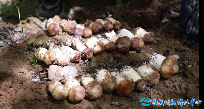 1688364548869086.png 640 (1).png