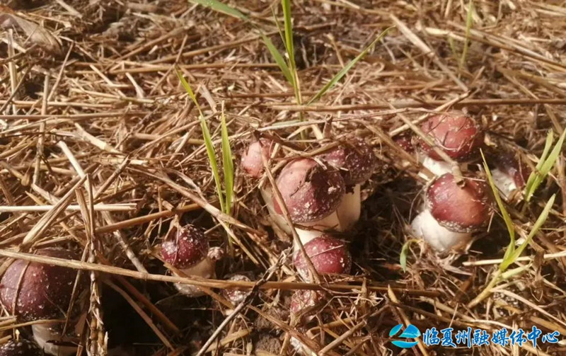 1688364560174618.jpg 640 (2).jpg