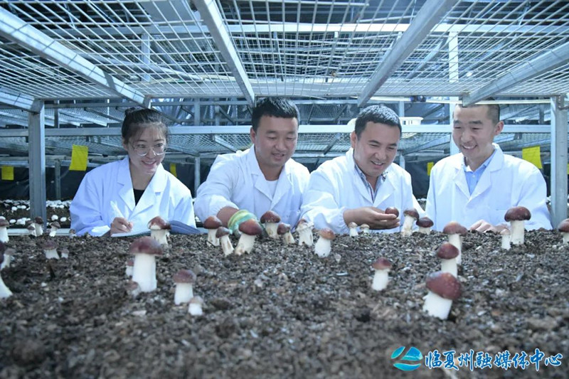 1688364614923699.jpg 640 (6).jpg