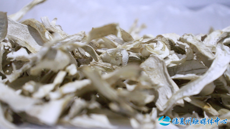 1688364639285539.png 640 (2).png