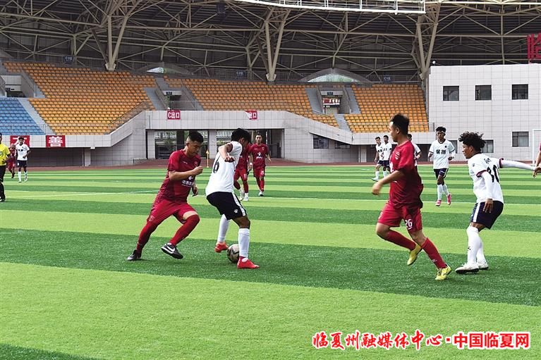 d2f06687-7580-44a3-ad4b-8201397f9479.jpg.jpg