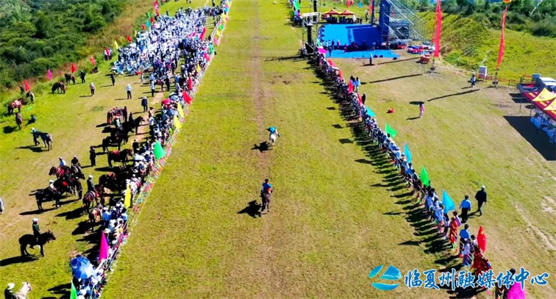 1691477192772052.jpg 640 (9).jpg