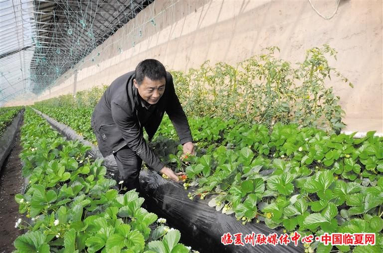 0d032952-ce34-4ab0-9713-8635799af4cb.jpg.jpg