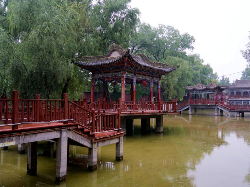 我和红园有个约会
