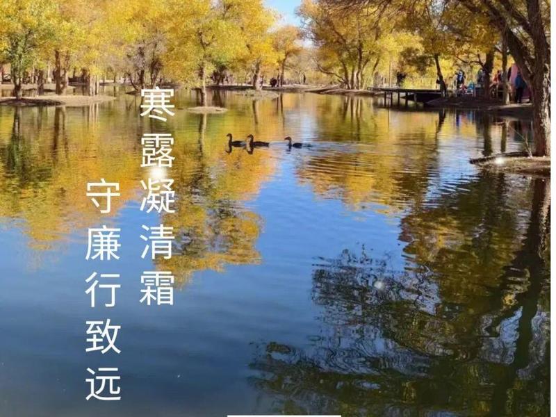 节气话廉 | 寒露：秋露涤尘 清廉致远