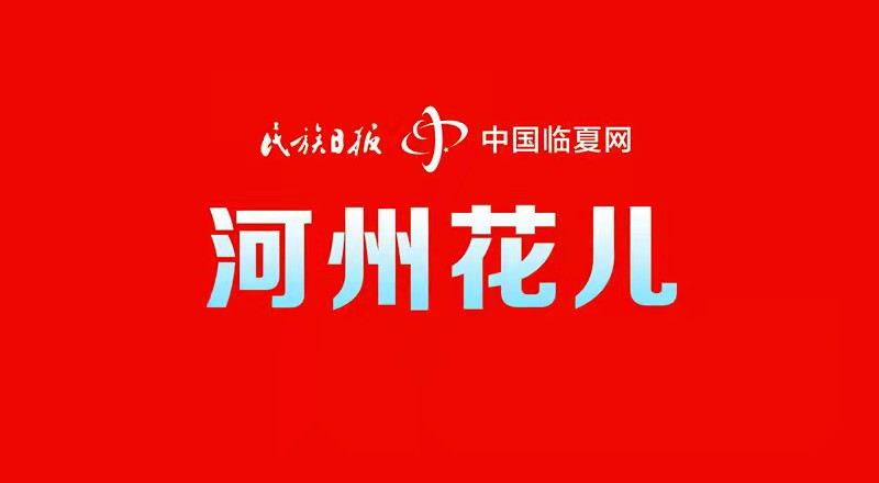 妙趣横生的临夏方言